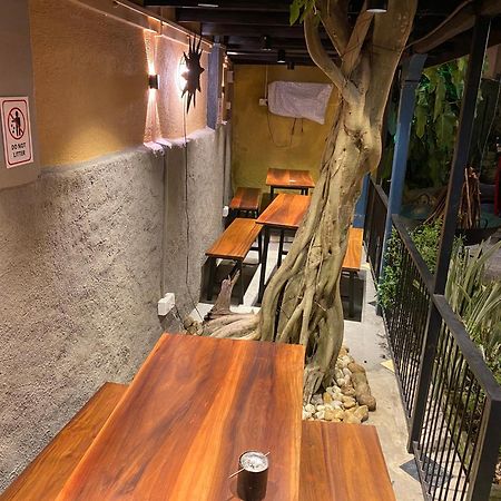 קנדי Settle Inn Tourist Lodge מראה חיצוני תמונה