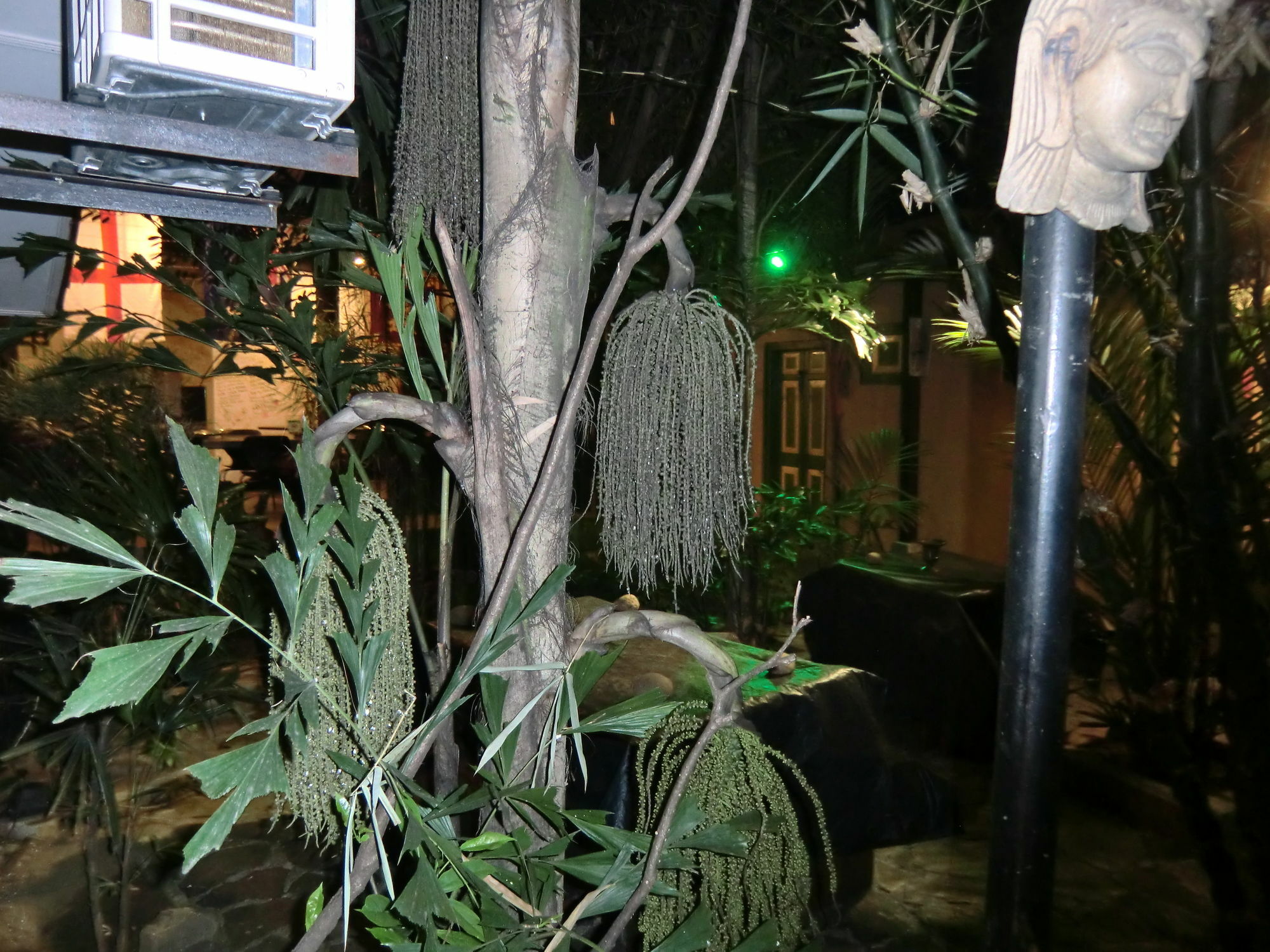 קנדי Settle Inn Tourist Lodge מראה חיצוני תמונה